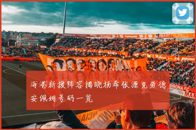海港新援阵容揭晓杨希张源克劳德安佩姆号码一览