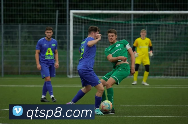 球探体育APP 高清赛事图